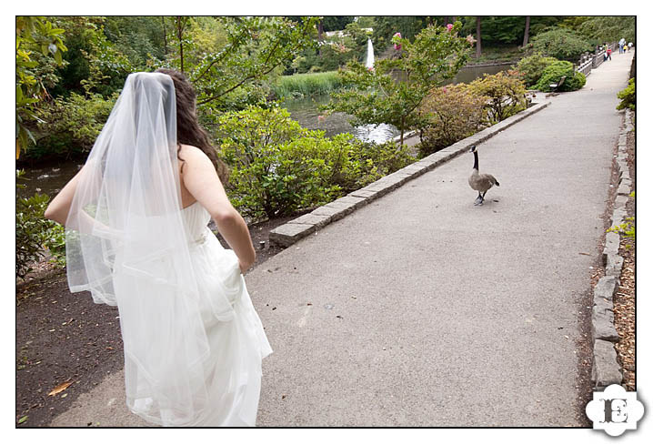 Crystal Springs Rhododendron Garden Wedding