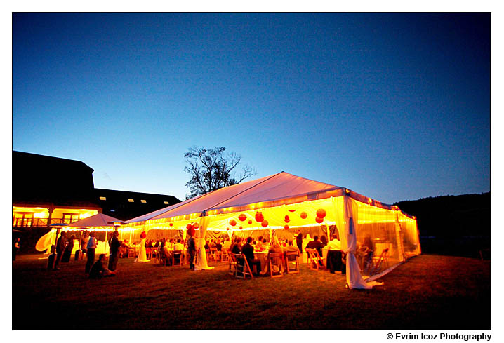 Zenith vineyard salem portland oregon dusk