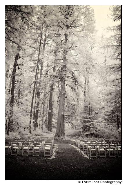 Camp Colton Wedding