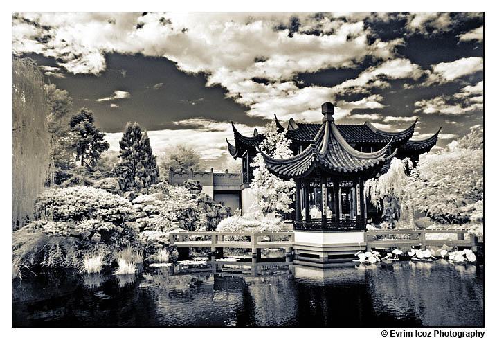 Portland Chinese Garden