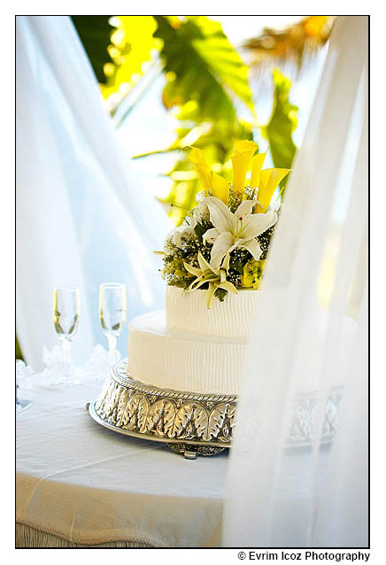 dominican republic destination wedding