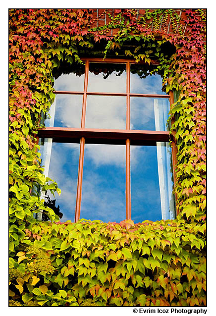 Edgefield Fall McMenamins Wedding