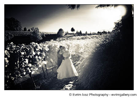 Portland Wedding Photographer