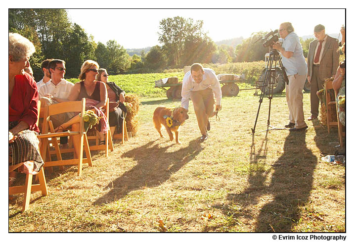 krugers farm sauve island wedding