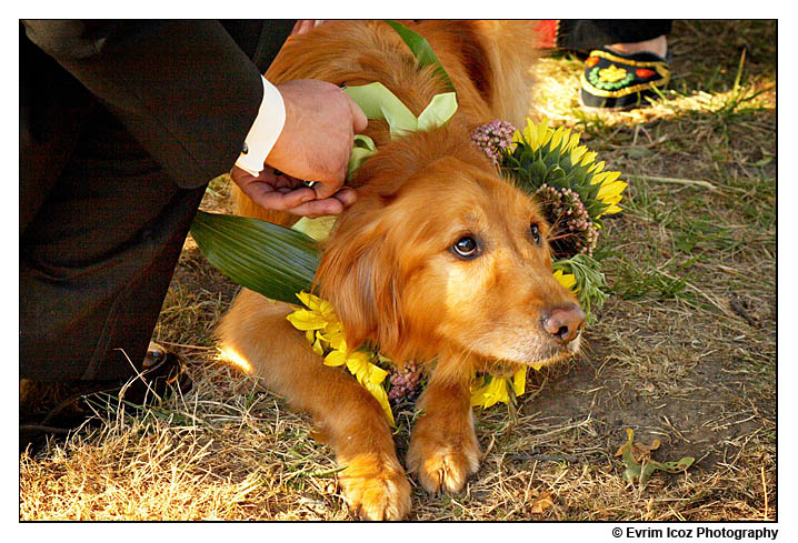 krugers farm sauve island wedding