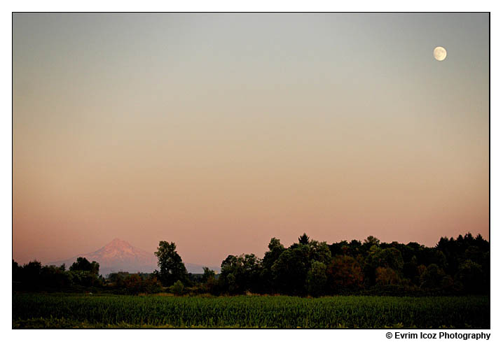 krugers farm sauve island wedding