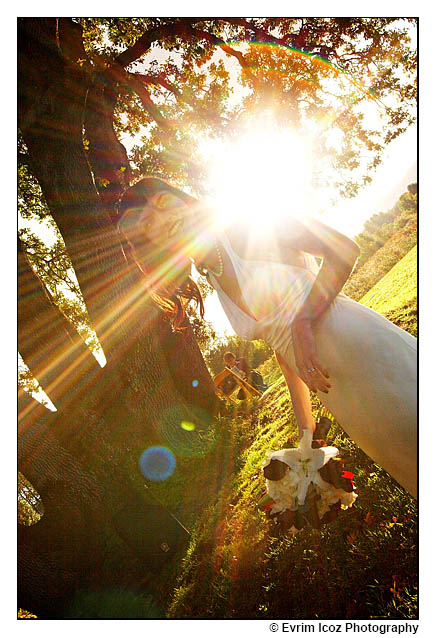 Kruger's Farm Wedding