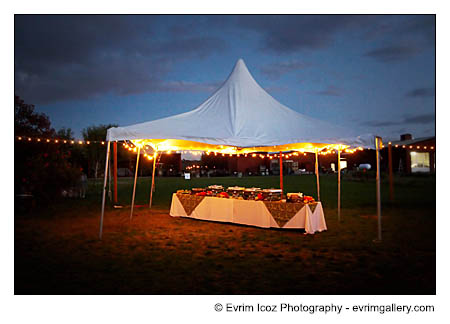 Kruger's Farm wedding pictures