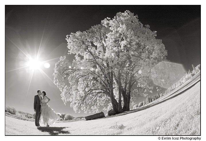 Kruger's Farm Wedding at Sauvie Island