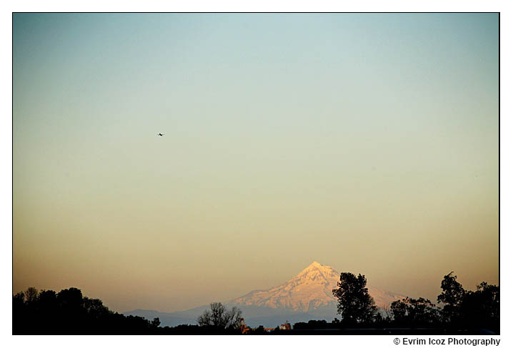 Kruger's Farm Wedding at Sauvie Island