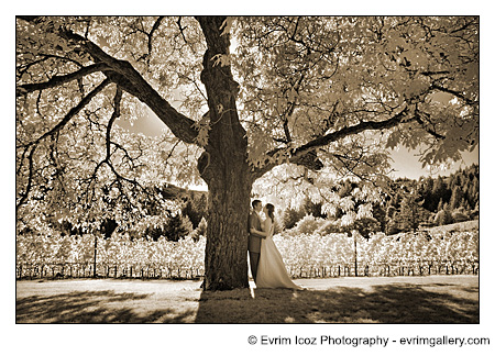 Portland Wedding Photographer