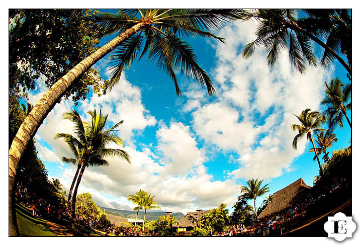 Maui Hawaii Beach Wedding Photographer