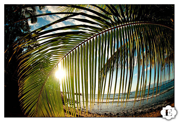 Maui Hawaii Beach Wedding Photographer