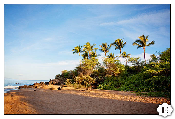 Maui Hawaii Beach Wedding Photographer