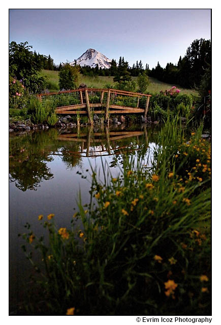 Mt. Hood Bed and Breakfast Wedding