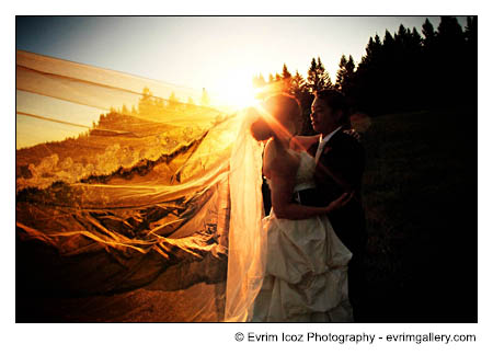 Oregon Vineyard Wedding