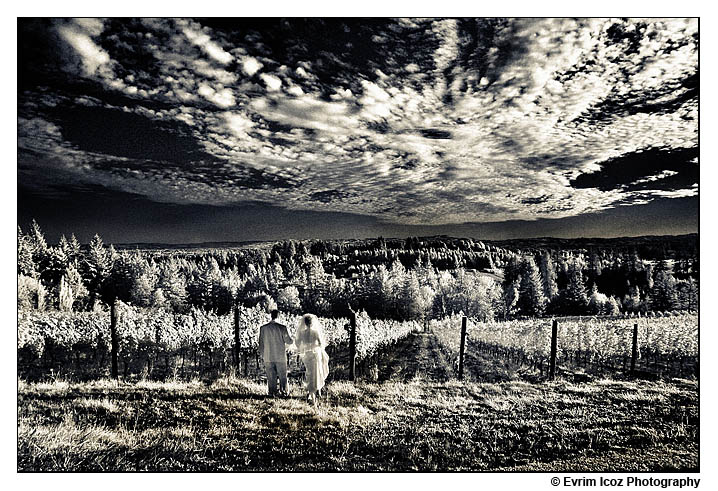 garden-vineyards-oregon-wedding