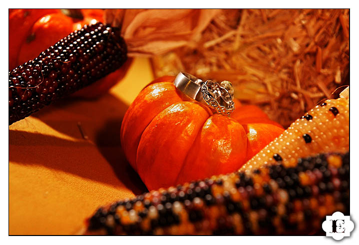 Complete with fall theme Complete with fall theme