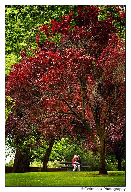 Portland Engagement Portrait Photography