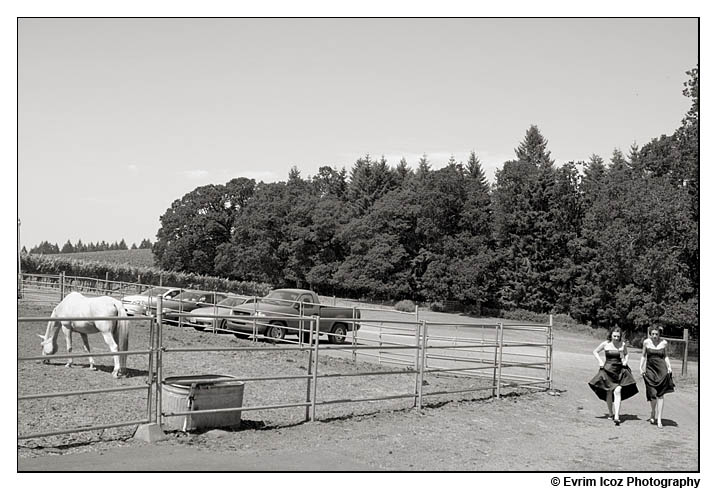 wine country farms wedding vineyard