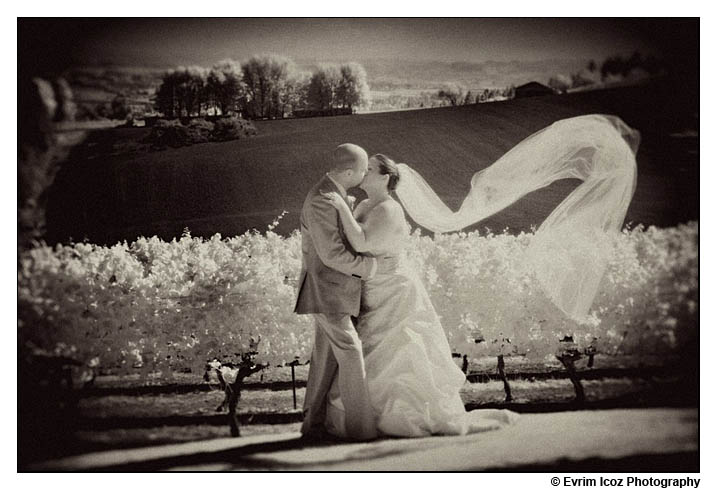 wine country farms wedding vineyard