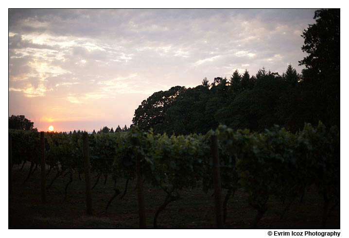 wine country farms wedding vineyard